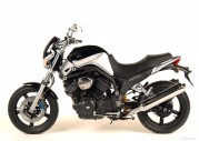 Yamaha BT1100 Bulldog Yamaha BT1100 Bulldog